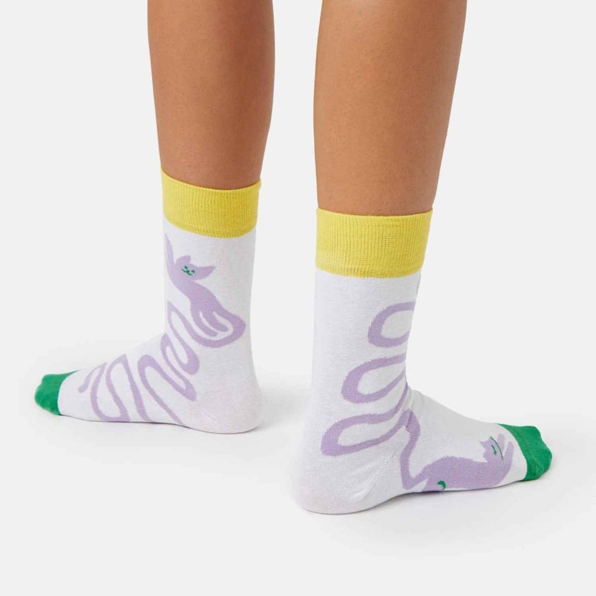 Katiszi Socken