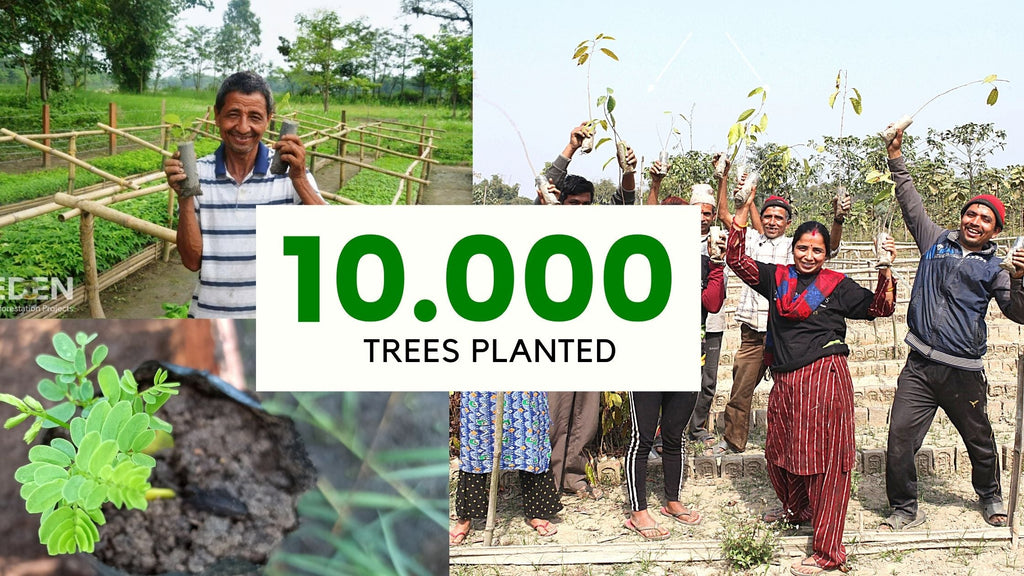 Wir haben 10.000 Bäume gepflanzt - dank eurer Hilfe! - Natural Vibes Clothing